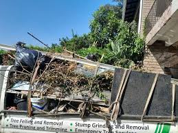 Trusted Mount Vernon, IL Junk Removal Services Experts