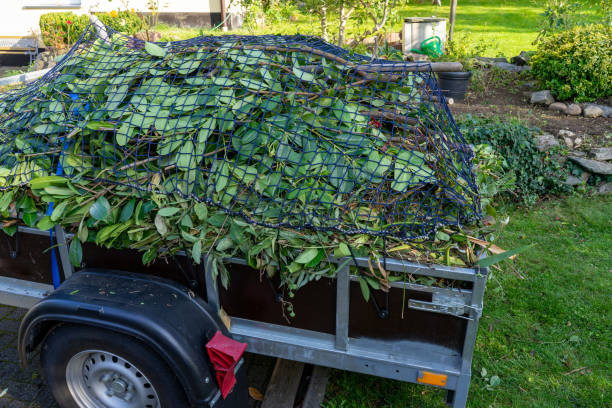  Mount Vernon, IL Junk Removal Services Pros